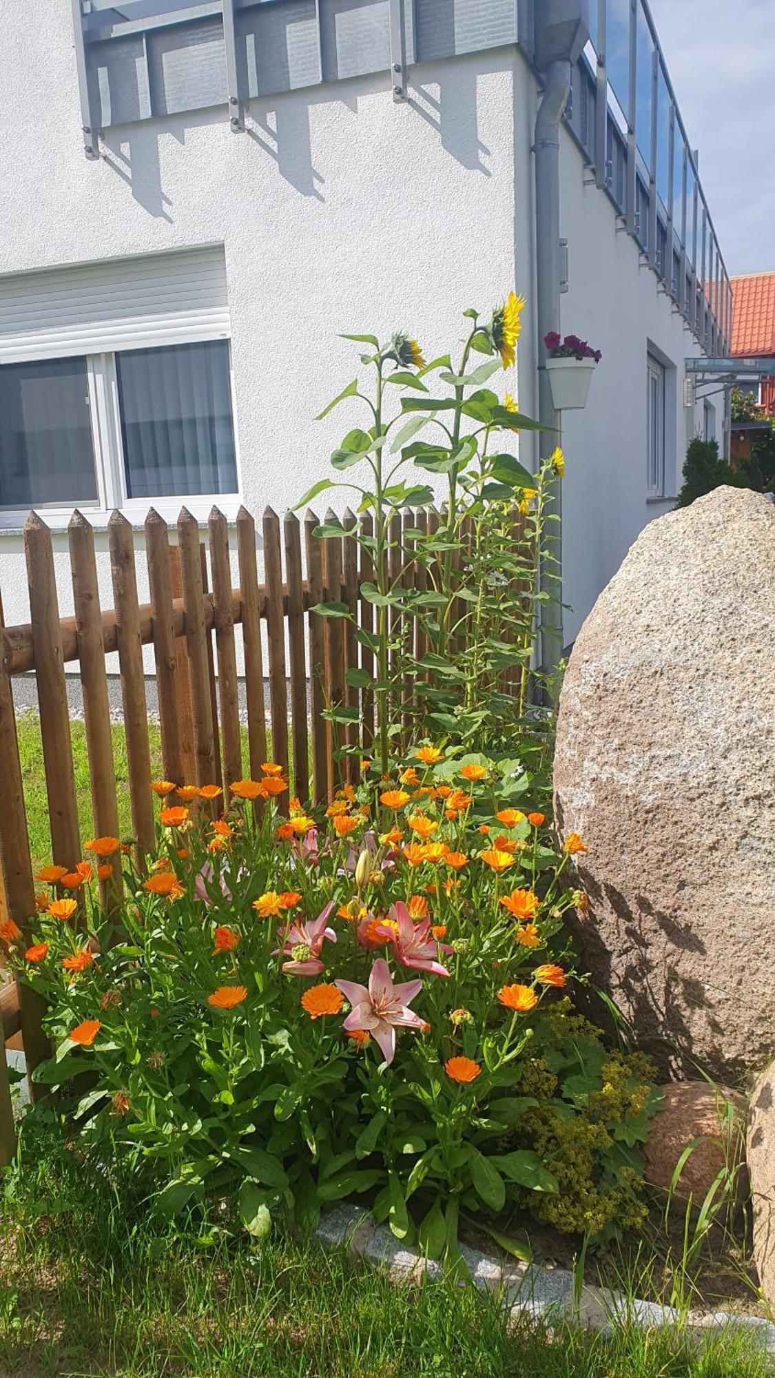Ferienwohnungen "Godewind", Appartements Mit Balkon Oder Terrasse Zinnowitz Bagian luar foto