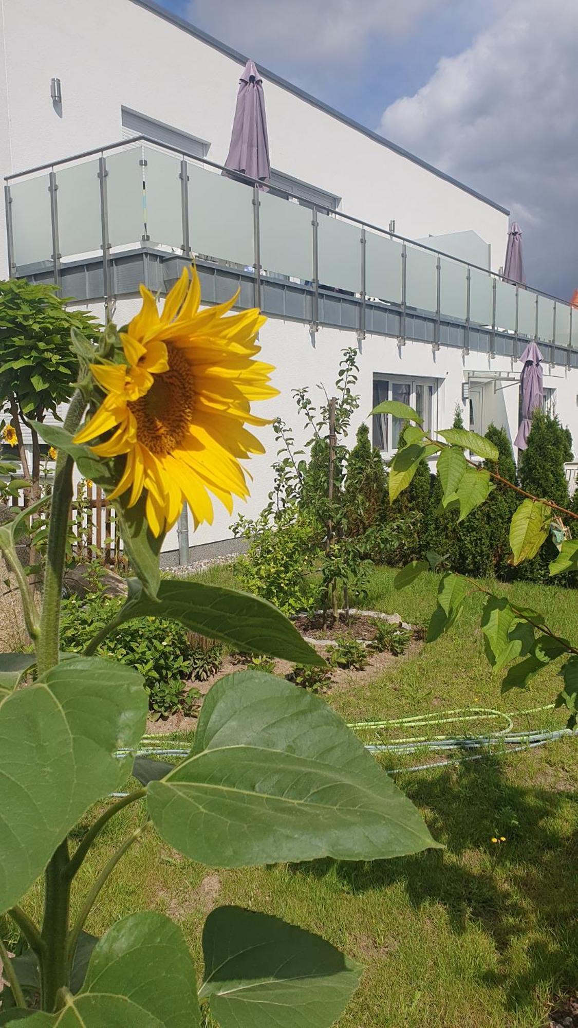 Ferienwohnungen "Godewind", Appartements Mit Balkon Oder Terrasse Zinnowitz Bagian luar foto