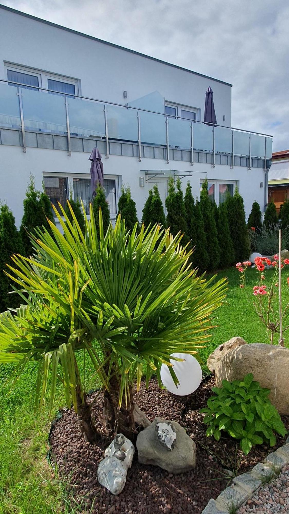 Ferienwohnungen "Godewind", Appartements Mit Balkon Oder Terrasse Zinnowitz Bagian luar foto